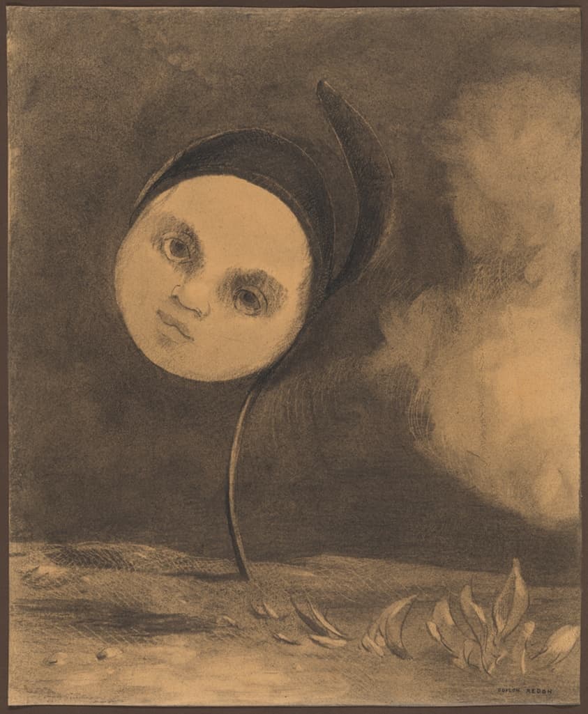 Strange Flower (Little Sister of the Poor)