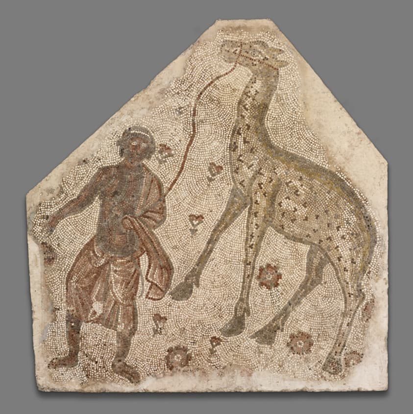 Mosaic Fragment with Man Leading a Giraffe