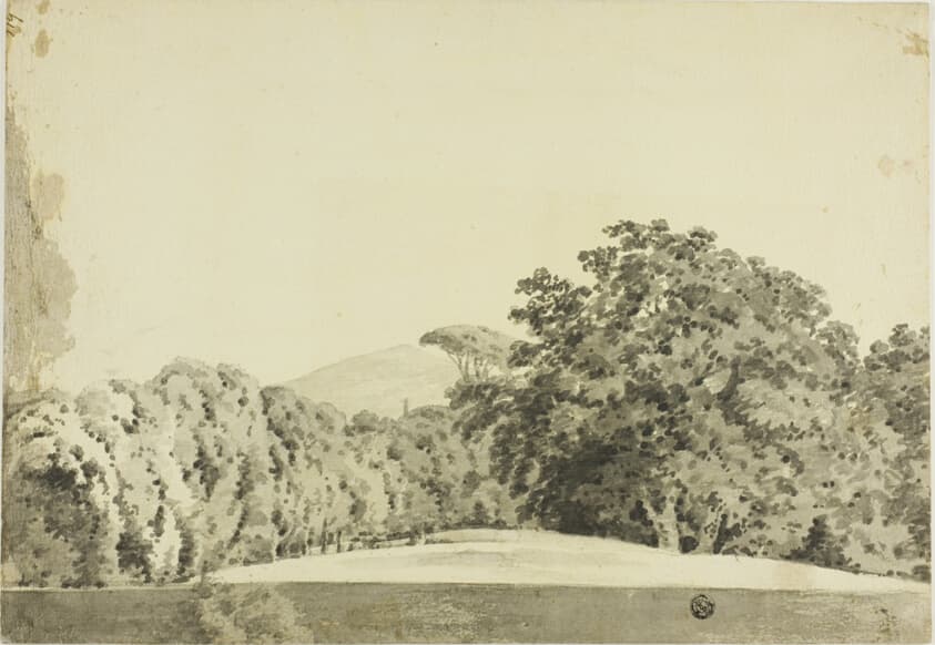 Wooded Landscape