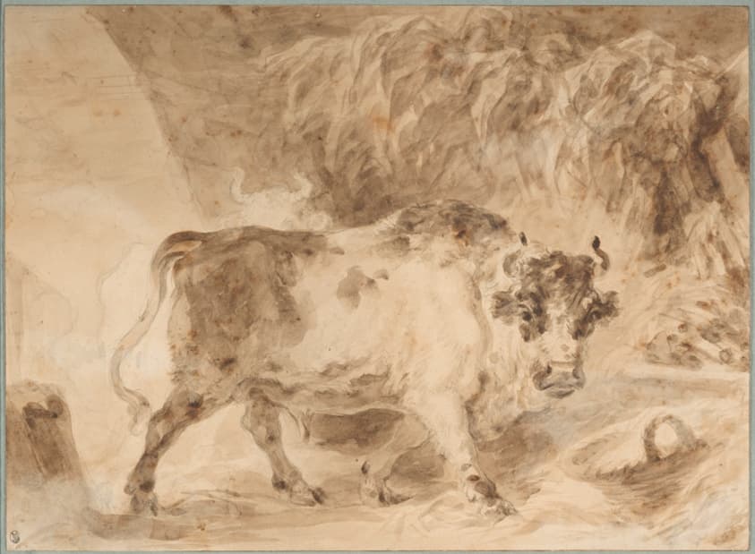 Bull of the Roman Campagna